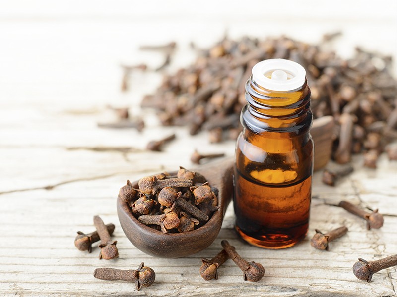 Como diluir óleo de cravo para uso seguro na pele