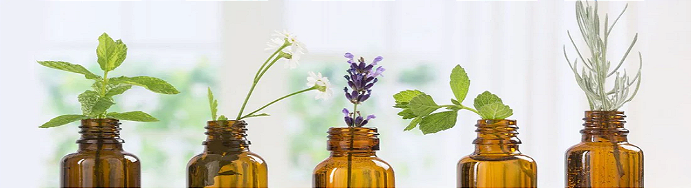 Óleos Essenciais na Gravidez: O Que Você Precisa Saber