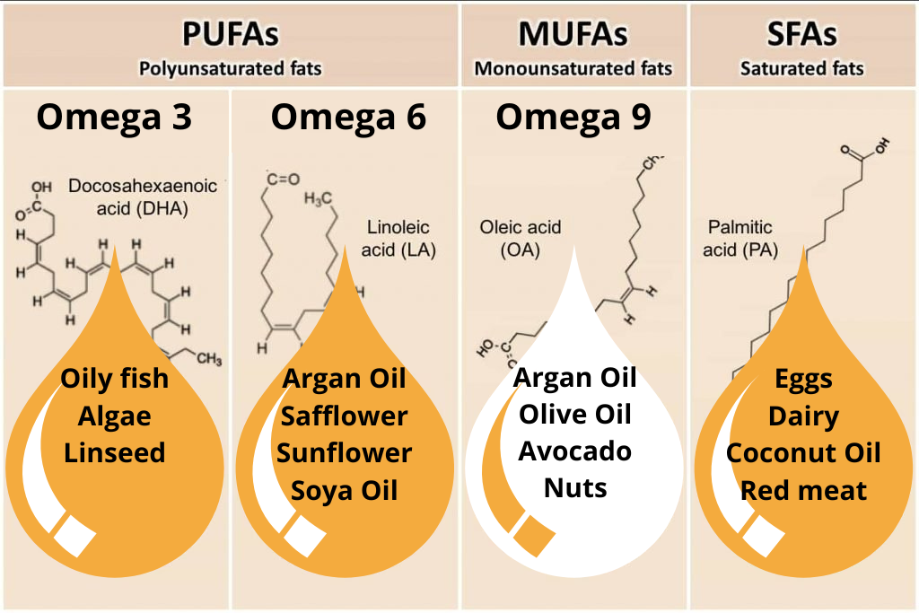 1. Os 5 Melhores Alimentos Ricos em Ômega 6 para sua Dieta. 2. Ômega 9: O Segredo para uma Pele Saudável e Coração Forte. 3. Equilíbrio é Tudo: Como Combinar Ômega 3