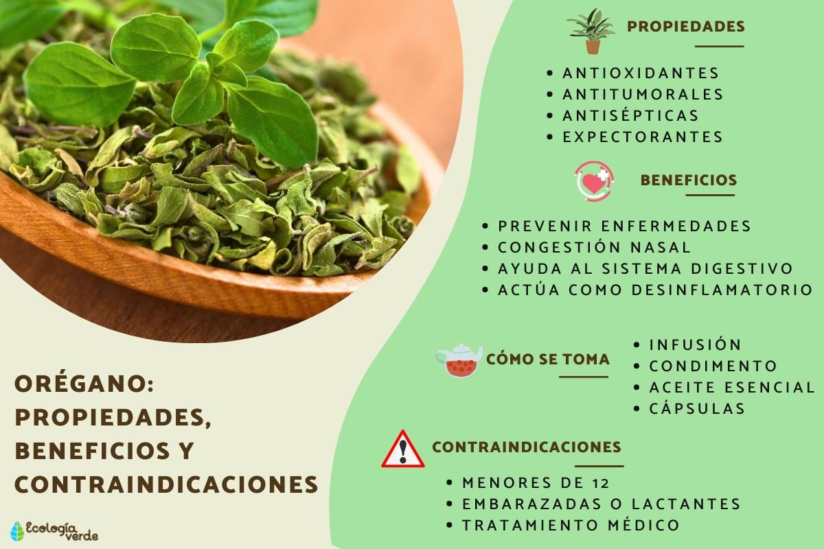 orégano benefícios