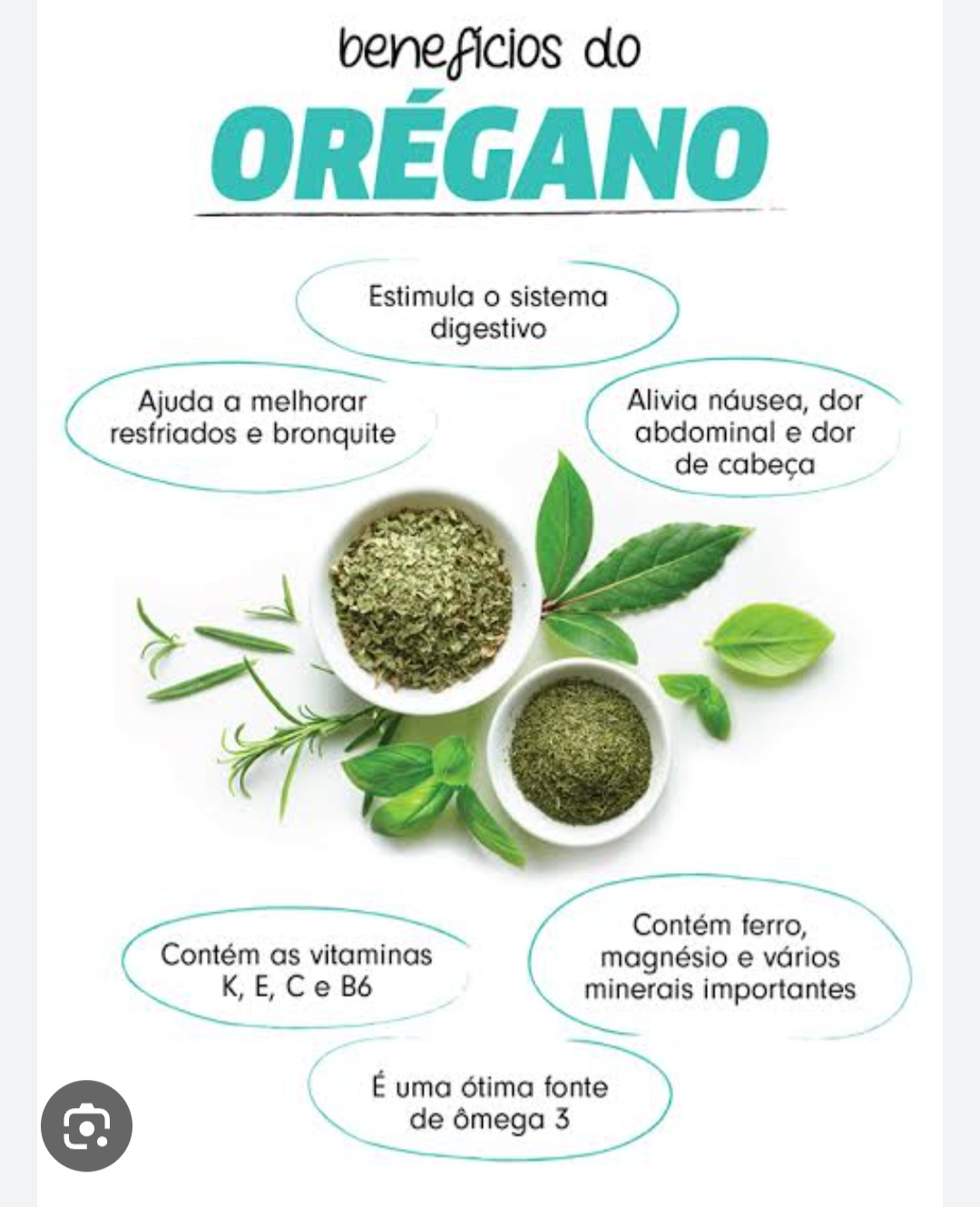 benefícios do orégano para a saúde