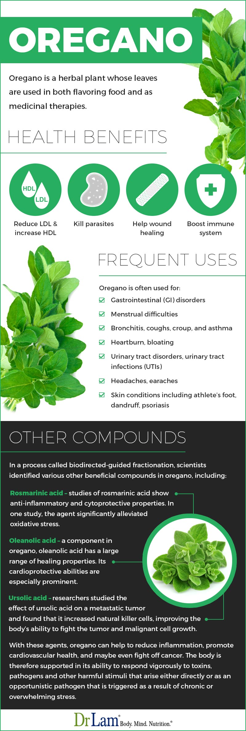 para que serve o chá de orégano