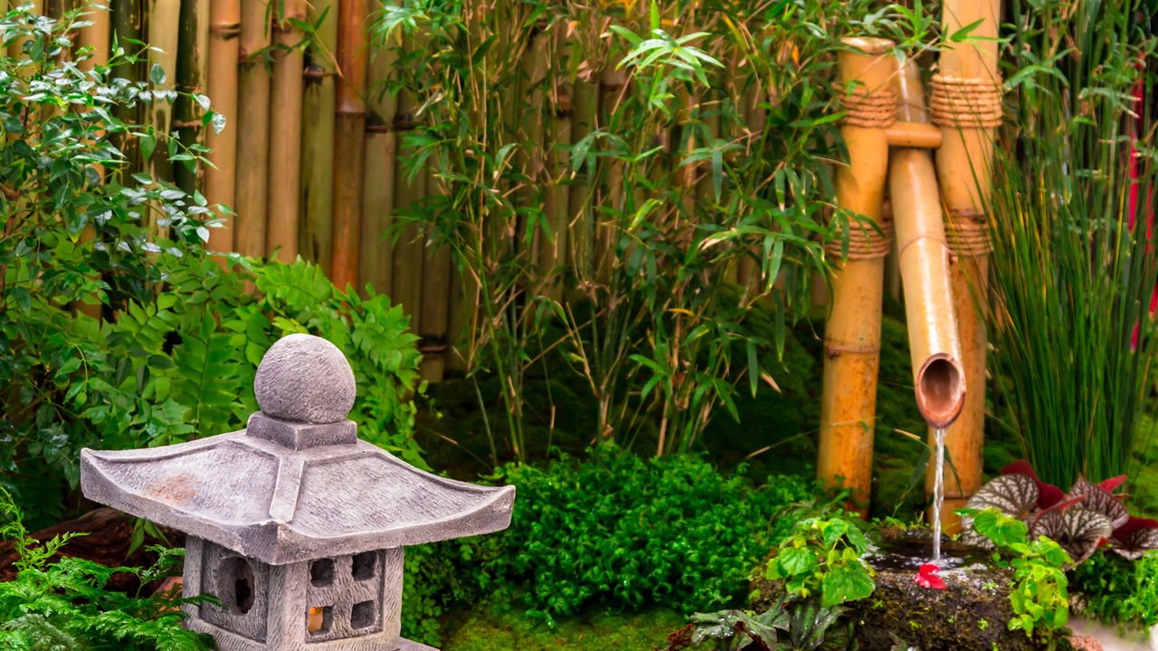 Guia completo de cercas vivas de bambu