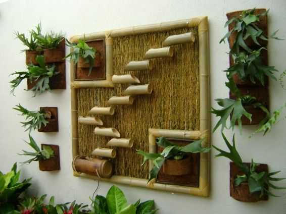 Bambu da Sorte: Simbolismo e Cuidados