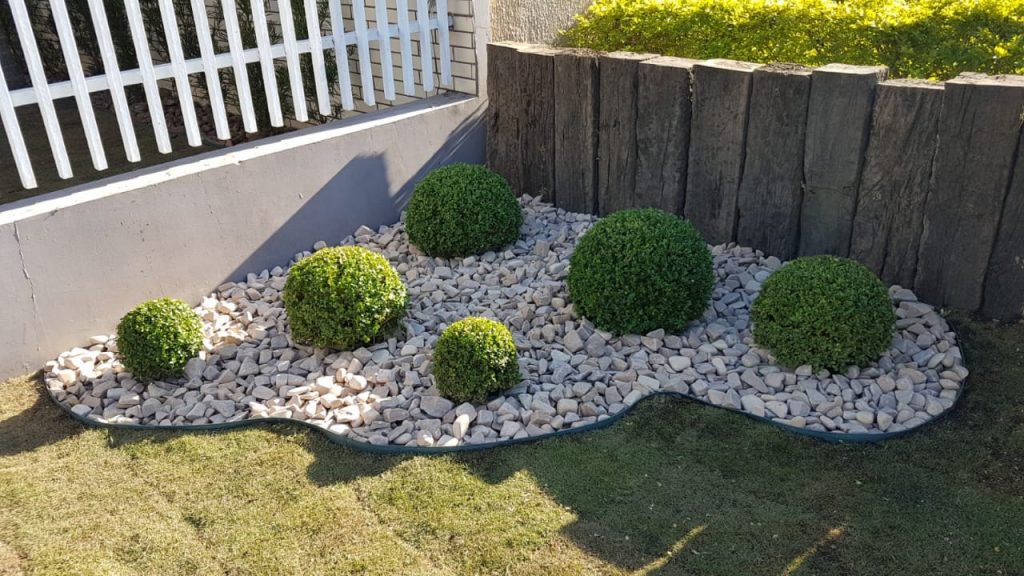 como cuidar de buxinho em vaso