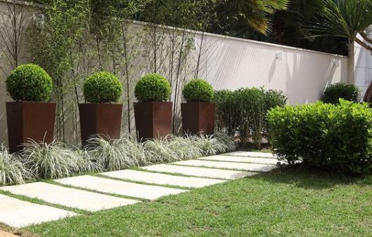 buxinho em fachadas de casas