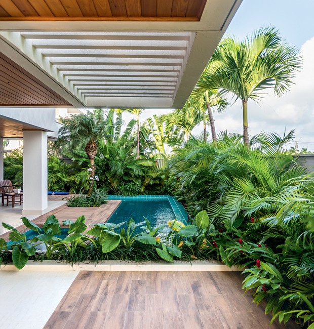 Palmeiras Nativas para Jardins Litorâneos: Conheça a Aricuriroba