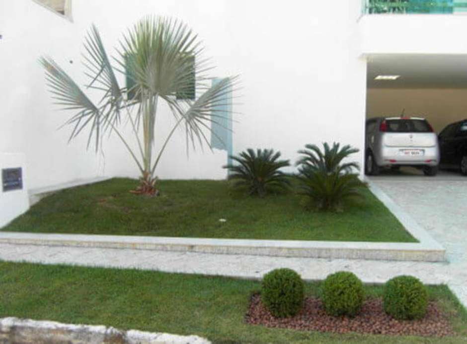 Ideias Criativas de Paisagismo com Palmeiras em Vasos