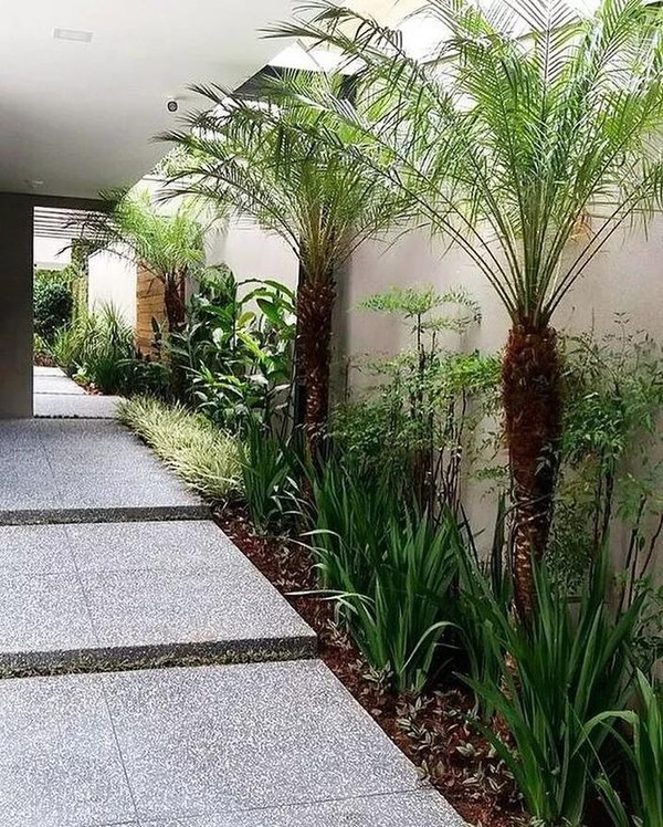 Ideias Criativas de Paisagismo com Palmeiras em Vasos