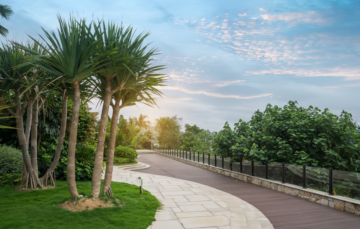 Guia Completo de Cuidados com Palmeiras de Porte Compacto