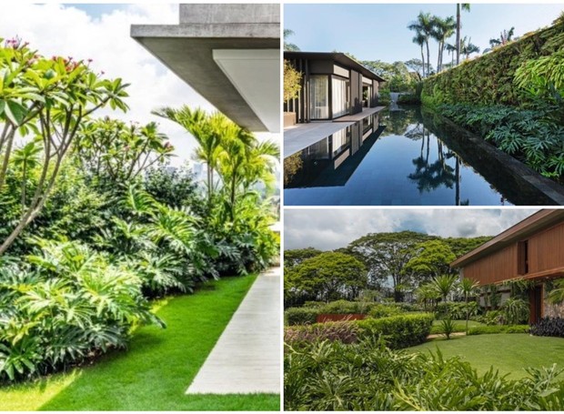 O impacto do design biofílico no bem-estar