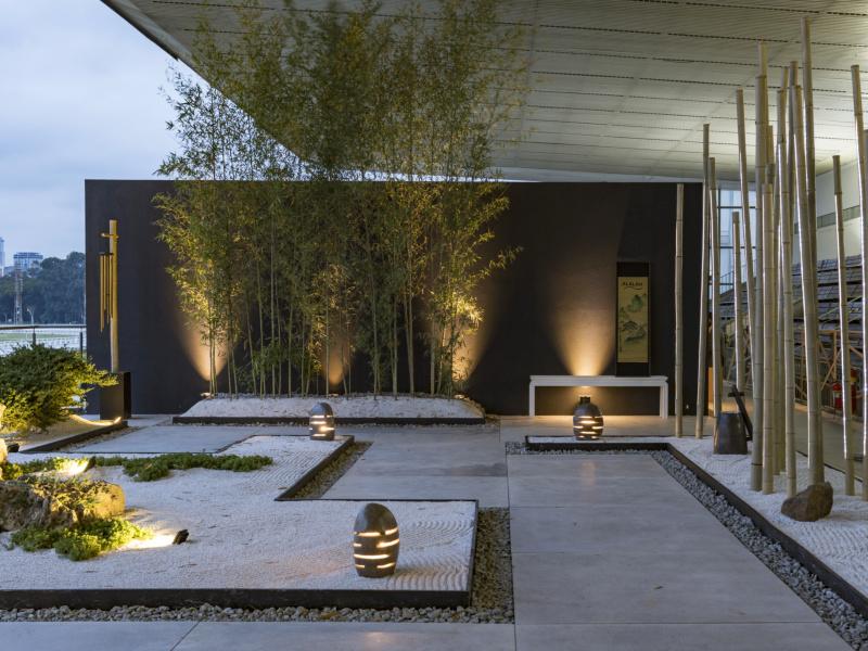 5 plantas tropicais para um paisagismo exuberante