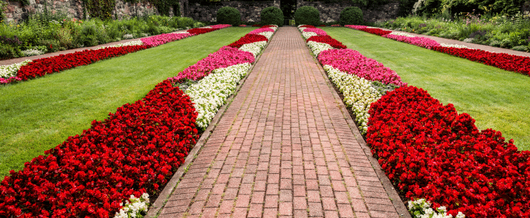 Dicas de paisagismo para otimizar espaços pequenos