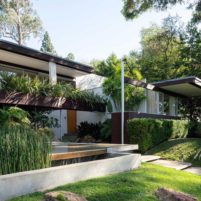 flores que gostam de sombra