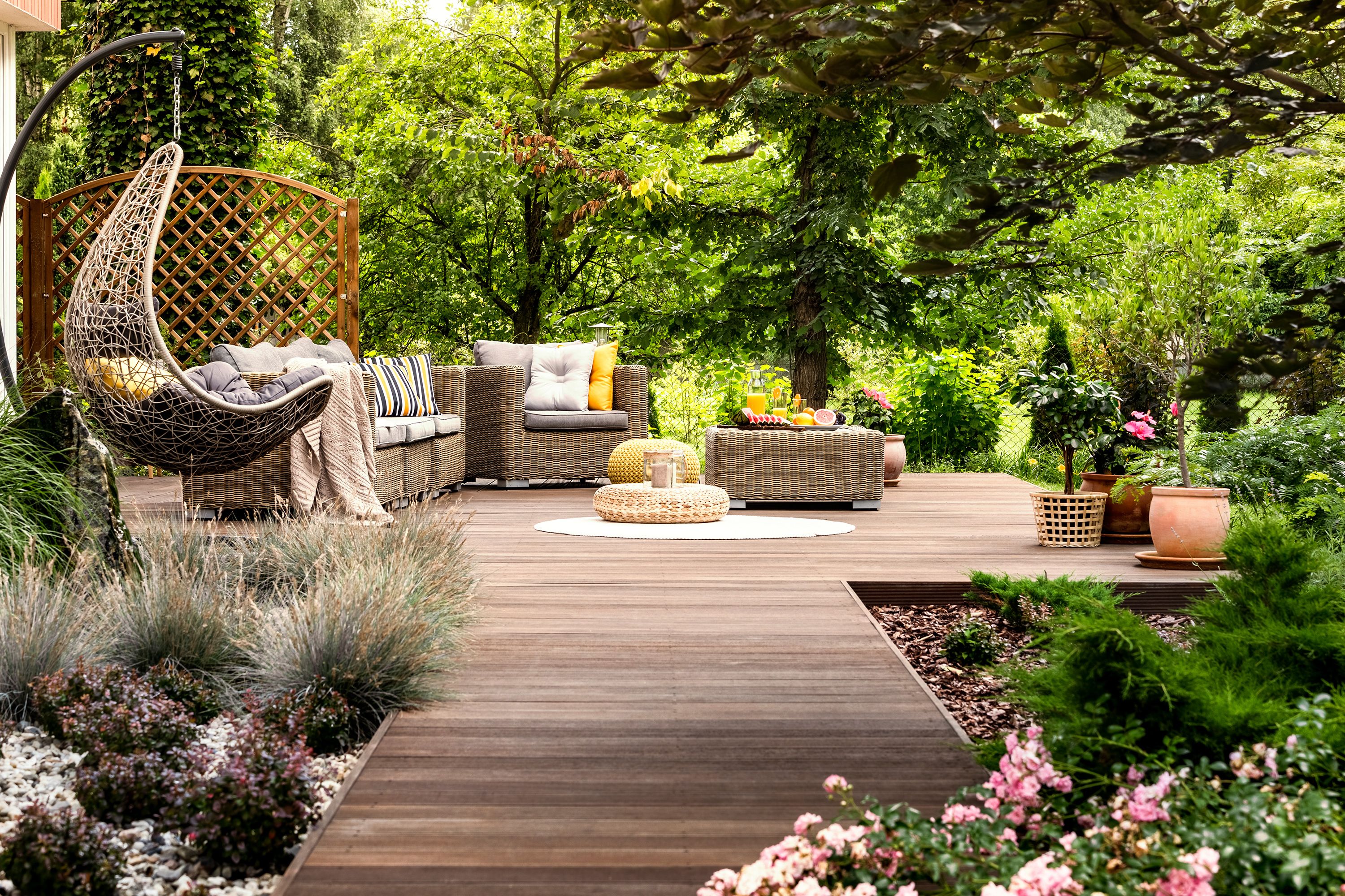 plantas para sombra interna