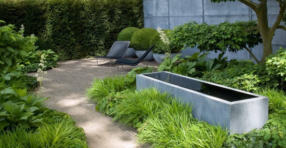 melhores plantas para áreas escuras da casa