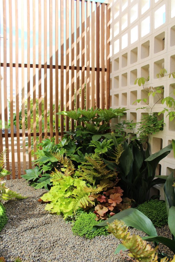 paisagismo para areas de sombra