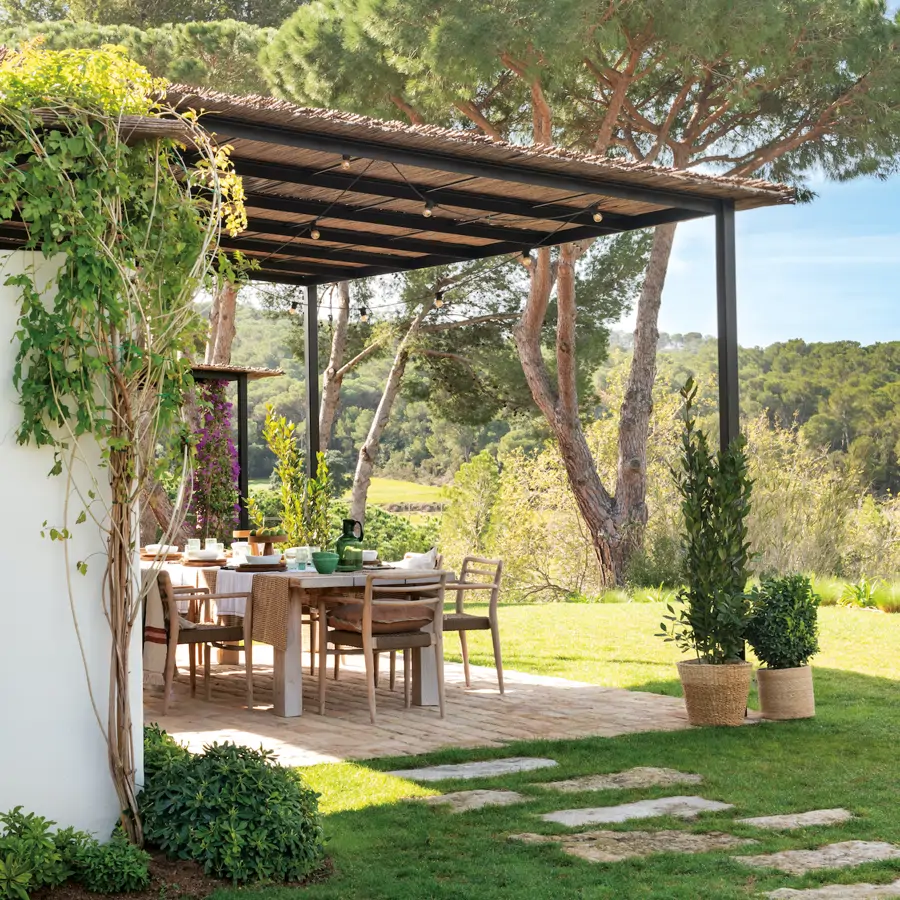 como decorar quintal pequeno com plantas