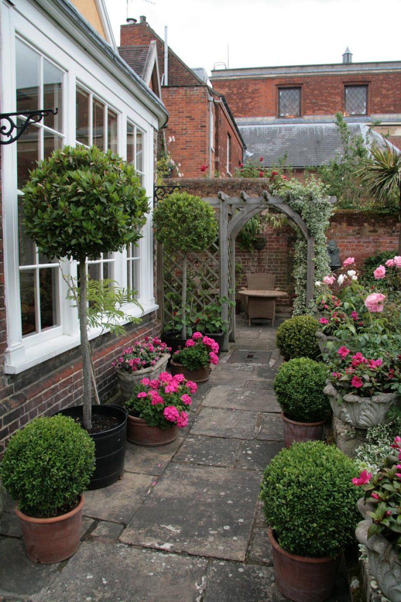 como decorar quintal pequeno com plantas