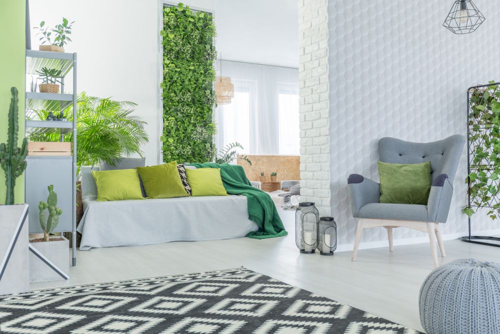 plantas de baixa manutenção para casas pequenas