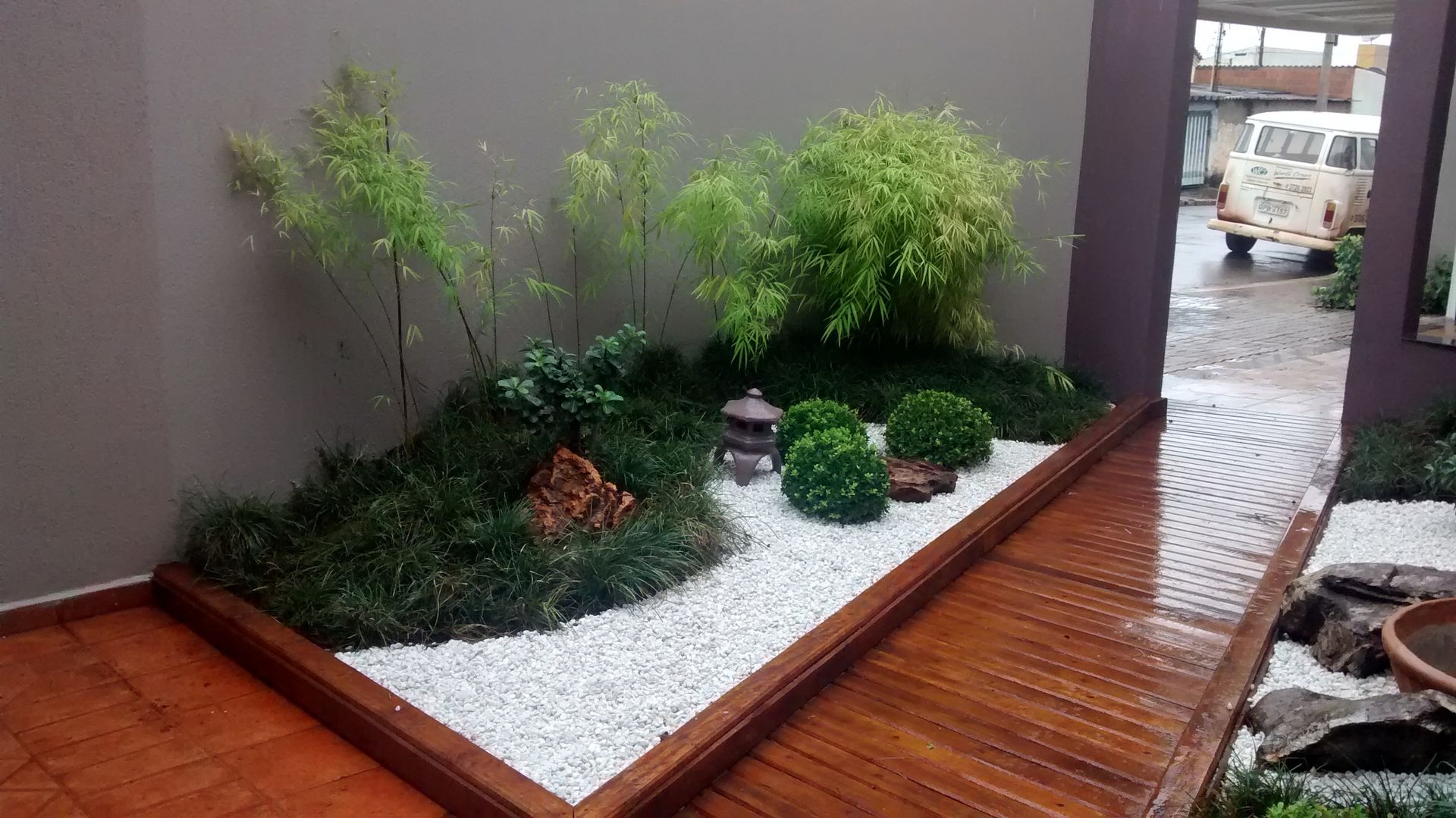 plantas de baixa manutenção para casas pequenas