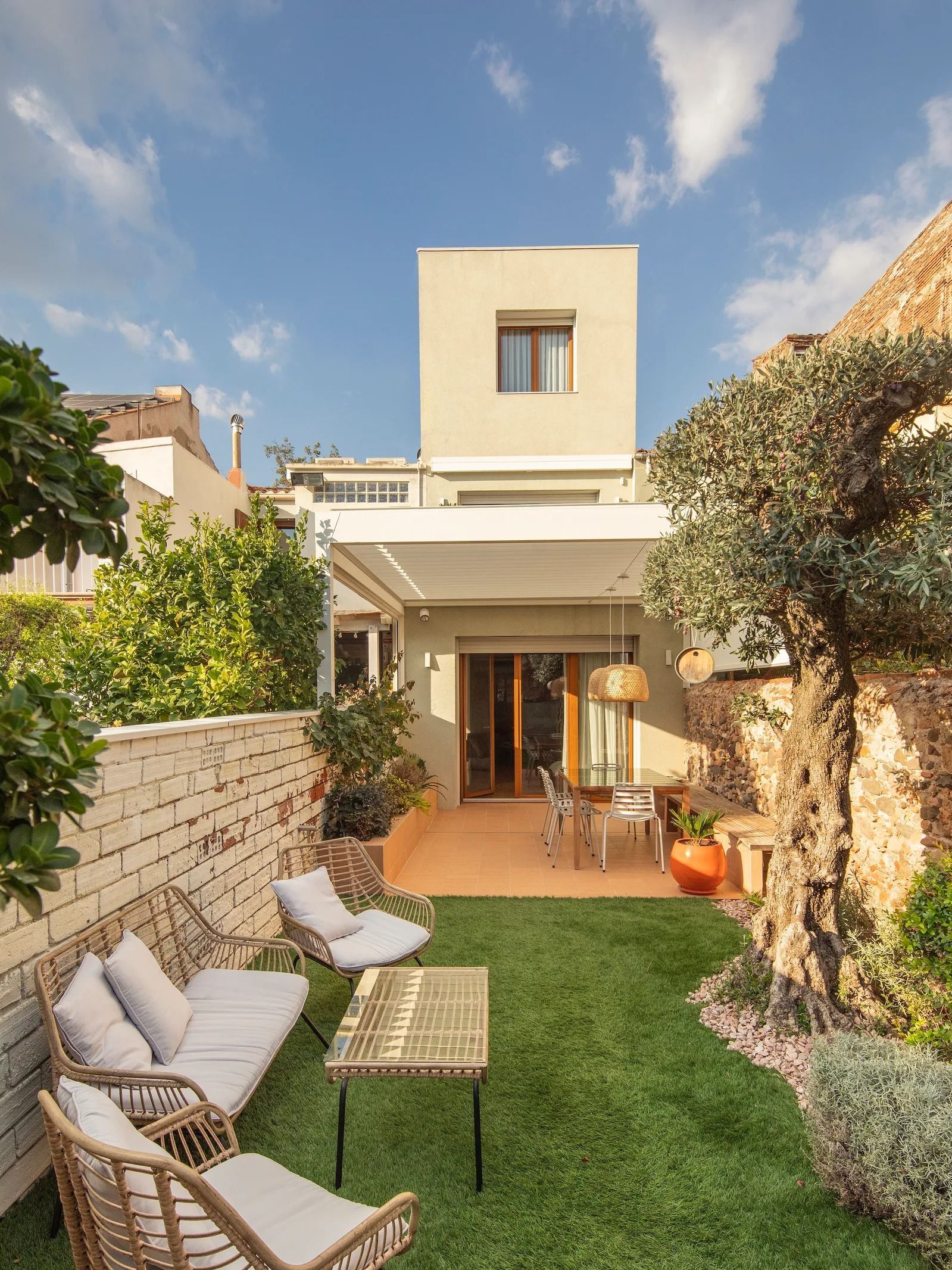 plantas de baixa manutenção para casas pequenas