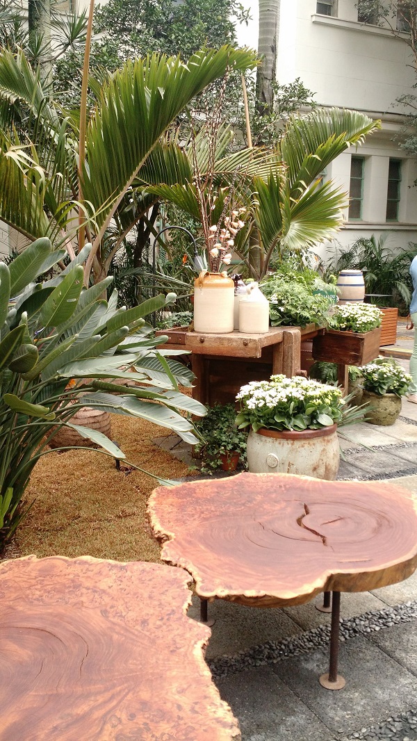 Como escolher as melhores plantas para seu jardim pequeno