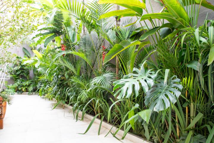 paisagismo para jardim pequeno