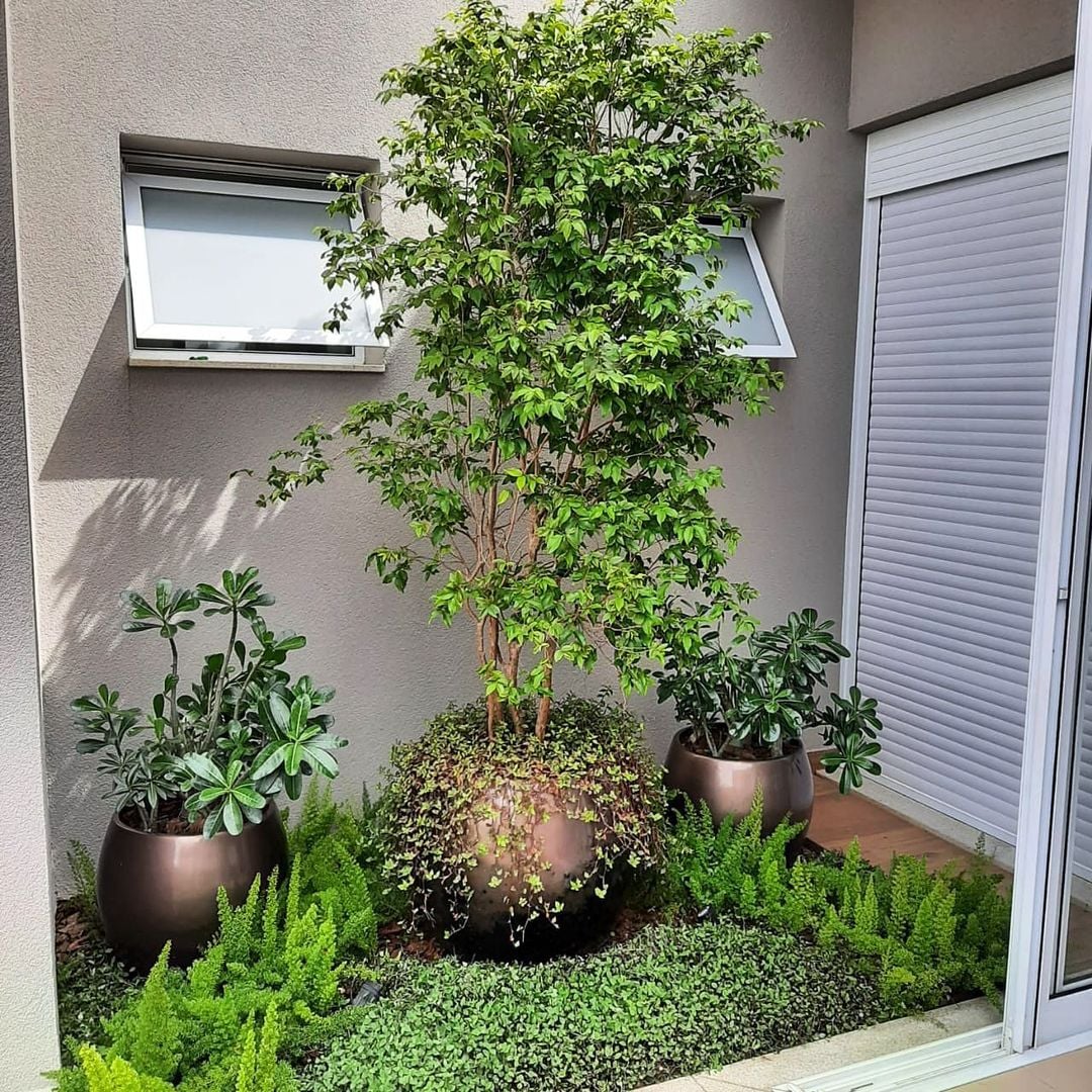 paisagismo para jardim pequeno