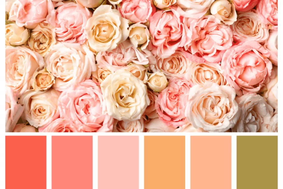 Paletas Monocromáticas com Salmão: Elegância e Harmonia Visual