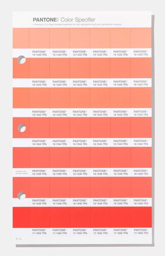 Salmão e Azul: A Combinação Perfeita para um Visual Sofisticado