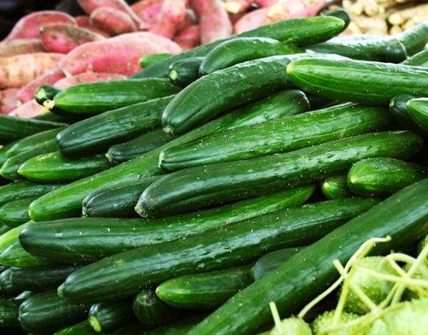 pepino para que serve