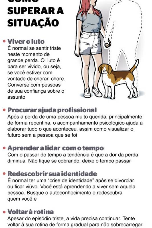 perda de um pet