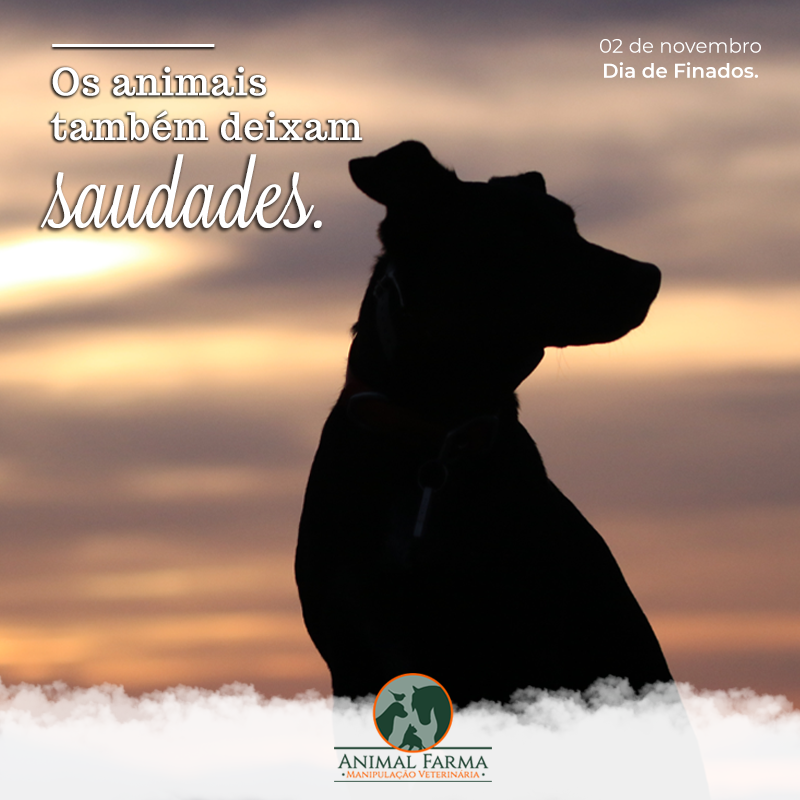 Como ajudar crianças a lidar com a perda de um pet