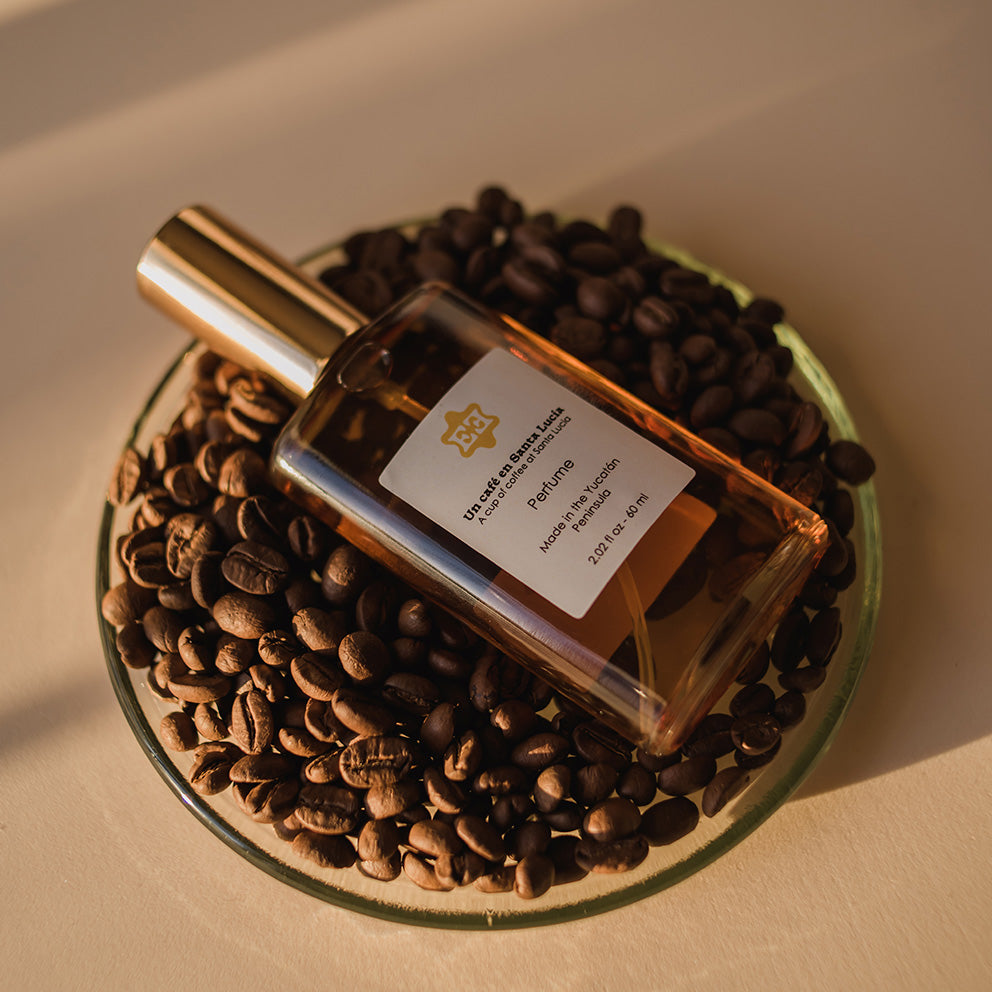 melhores perfumes masculinos com nota de café