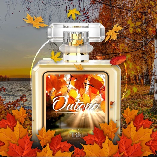 perfumes para o outono