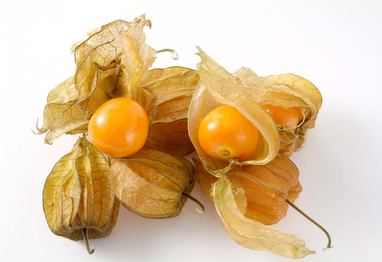 Golden Berry vs. Tomatillo: Qual Variedade de Physalis Escolher?