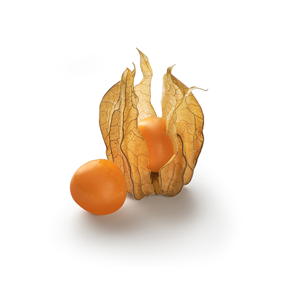 physalis