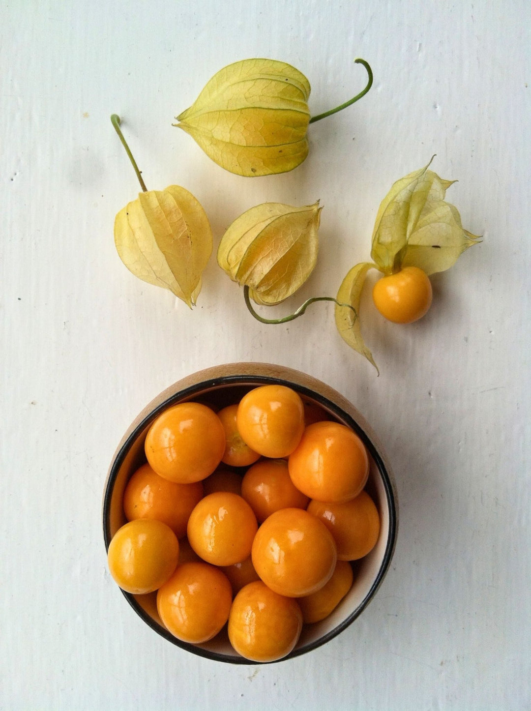 Guia Completo: Como Cultivar Physalis em Casa e Ter Frutos Frescos
