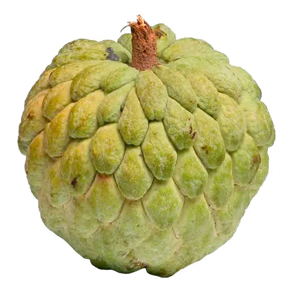 Os Incríveis Benefícios da Pinha para a Saúde