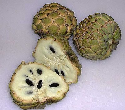 Receitas Deliciosas com Pinha (Fruta-do-Conde)