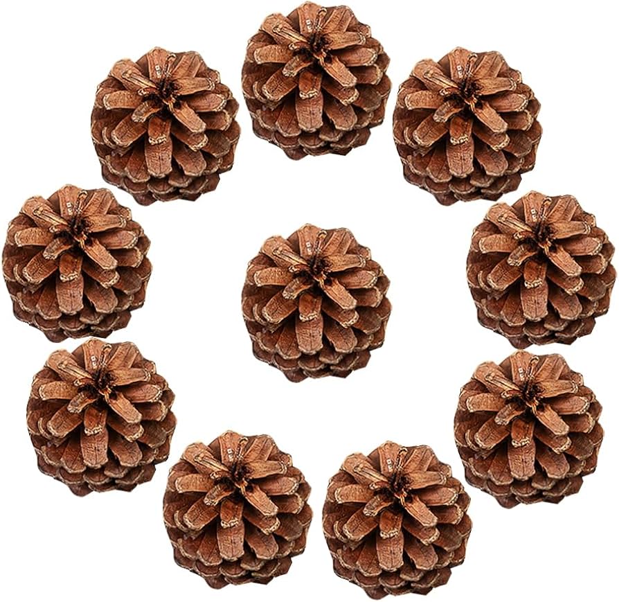 Pinhas na Decoração: Ideias Criativas para o Natal e Além