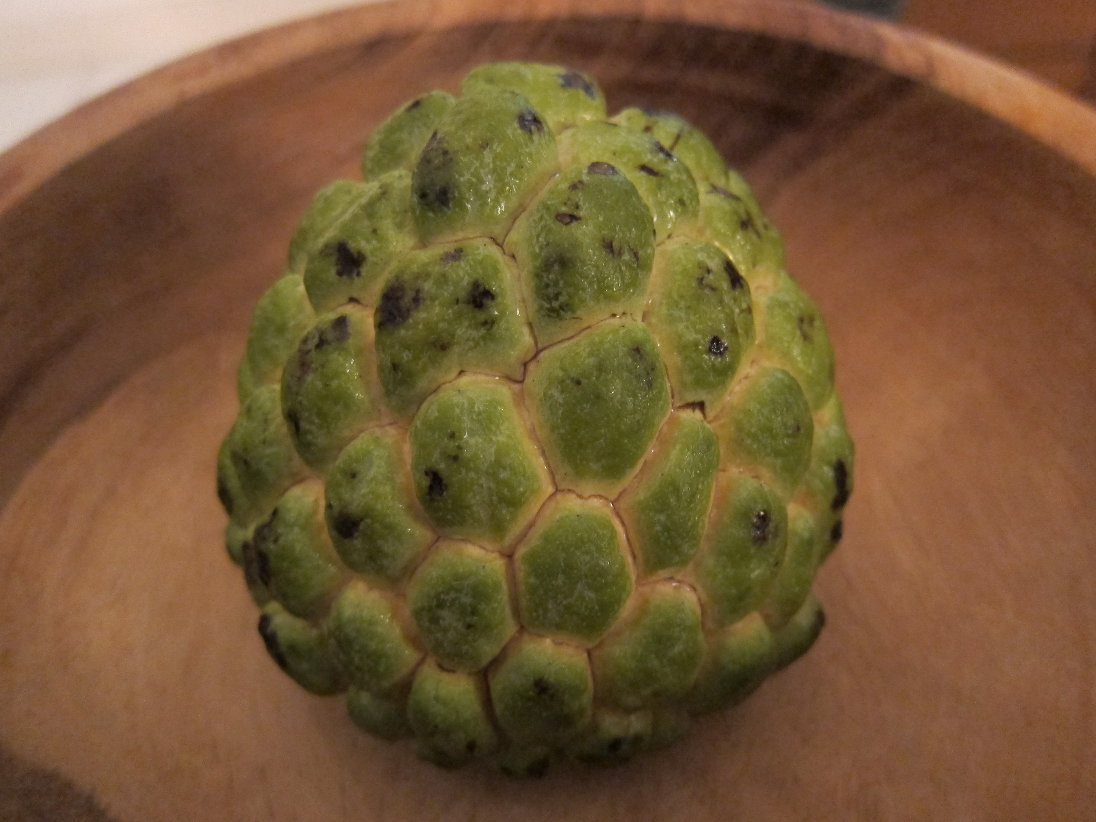 Pinhas na Decoração: Ideias Criativas para o Natal e Além