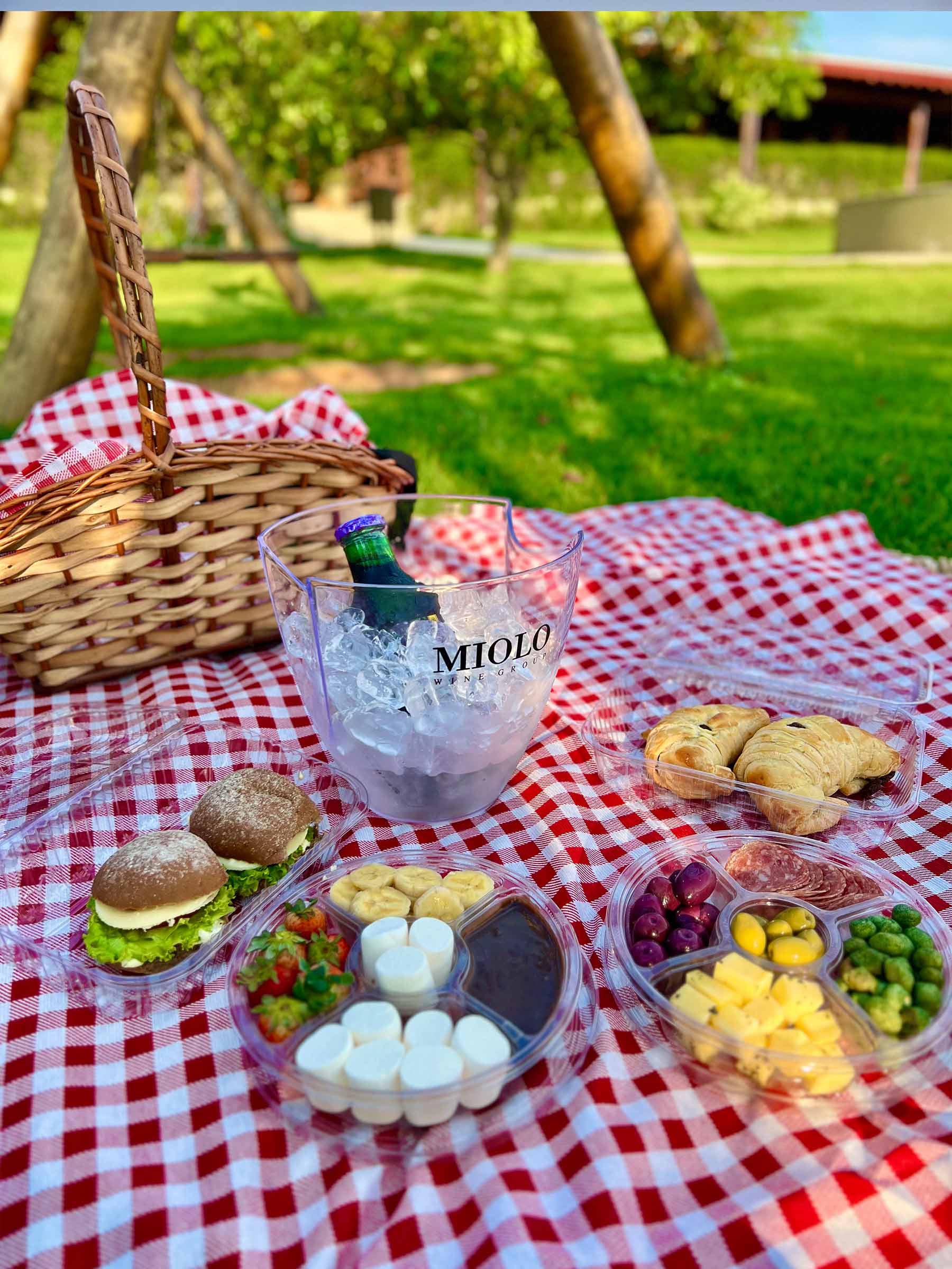 Piquenique no Rio de Janeiro: Guia Completo dos Melhores Parques