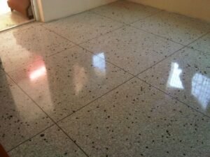 Desvantagens e Dicas de Manutenção