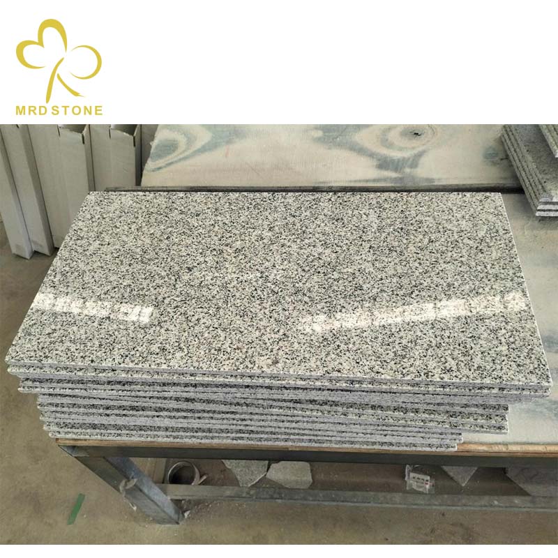 Desvantagens e Dicas de Manutenção