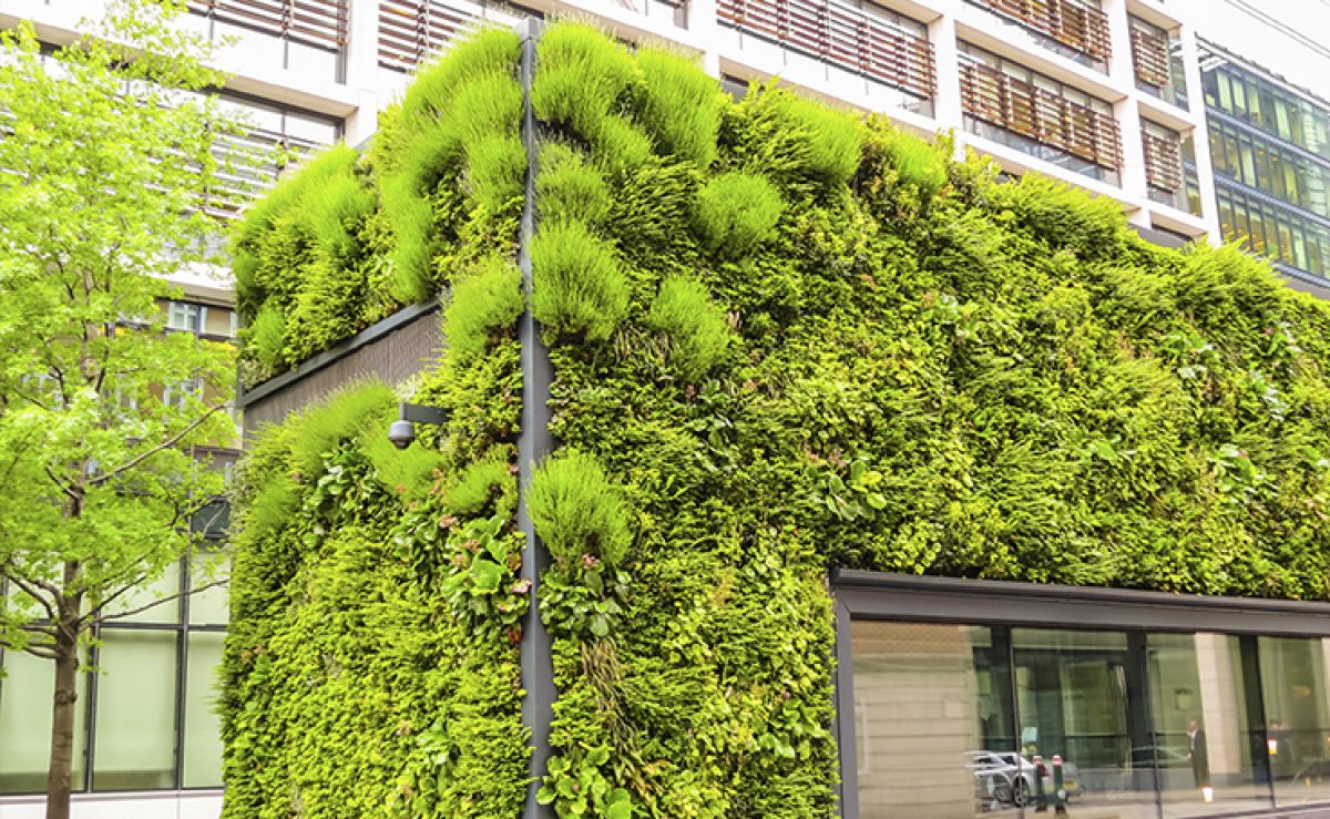 design biofílico em pisos residenciais