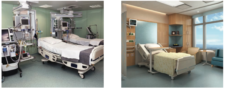 cores biofílicas para ambientes internos