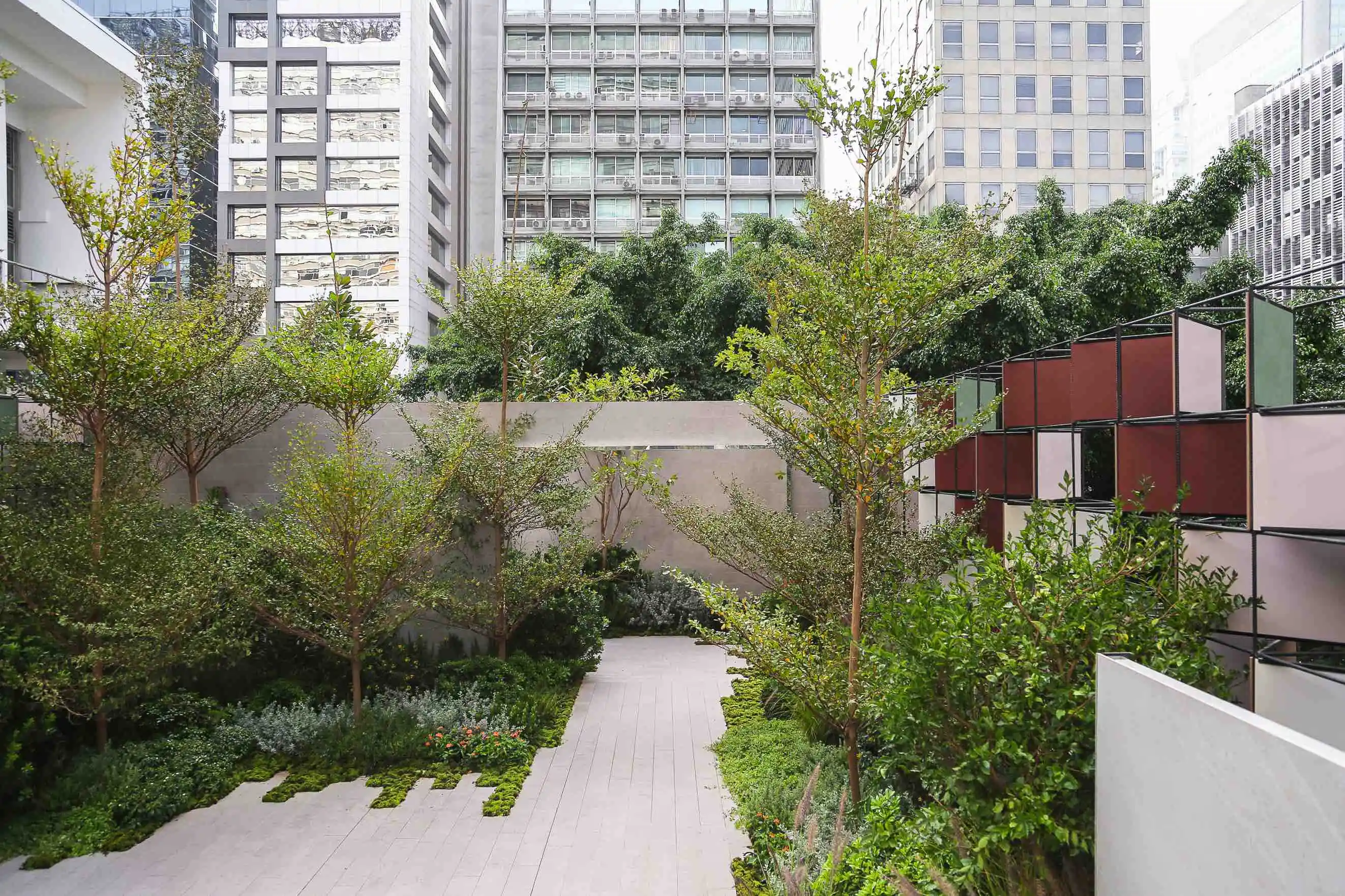 melhores árvores frutíferas para quintais pequenos