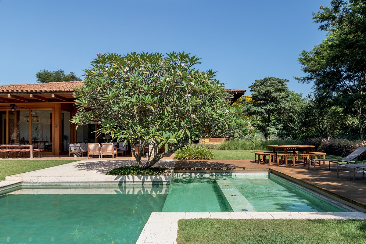 plantar no quintal arvores que passam de 100 m